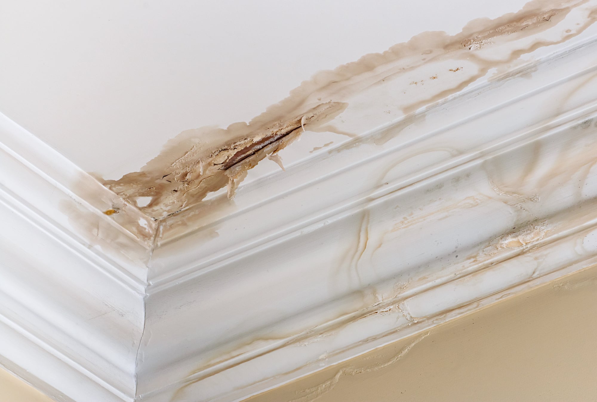 Water damage on wall